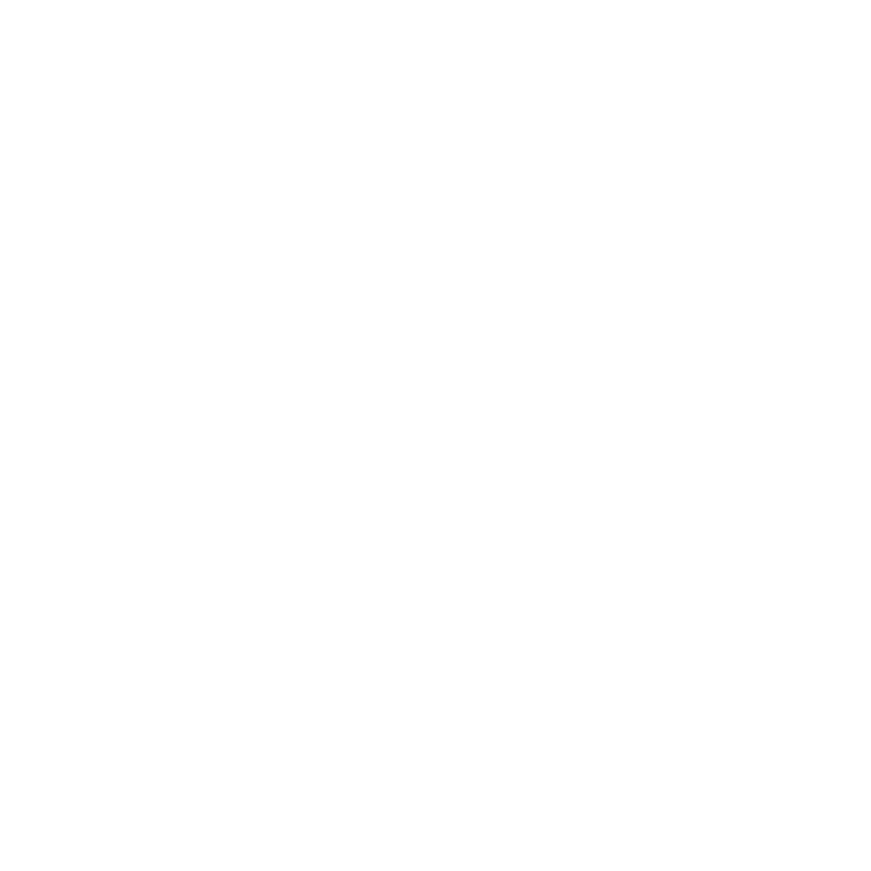 Sami logo